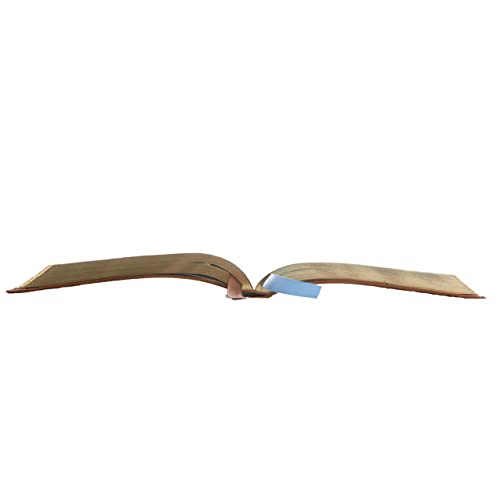 KJV, Thinline Bible Youth Edition, Leathersoft, Brown, Red Letter, Comfort Print: Holy Bible, King James Version