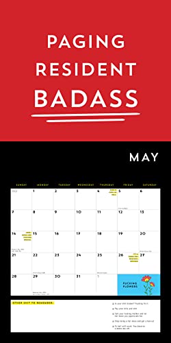 A F*cking 2023 Wall Calendar: Get Your Sh*t Together This Year (Funny Monthly Calendar with Stickers, White Elephant Gag Gift for Adults) (Calendars & Gifts to Swear By)