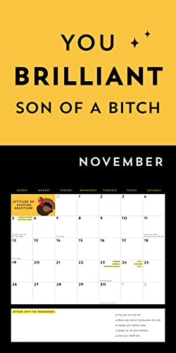 A F*cking 2023 Wall Calendar: Get Your Sh*t Together This Year (Funny Monthly Calendar with Stickers, White Elephant Gag Gift for Adults) (Calendars & Gifts to Swear By)