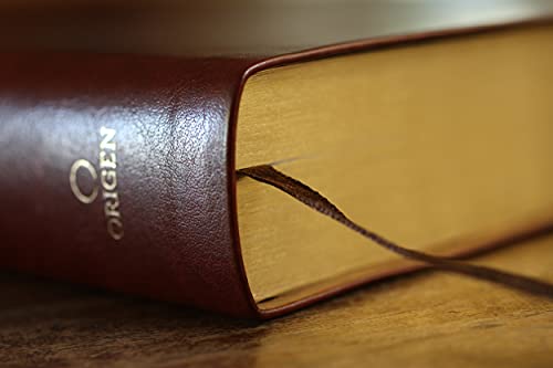 Biblia Bilingüe Reina Valera 1960/ESV Tamaño grande piel marrón / Bilingual Bibl e RVR 1960/English Standard Large Size Large Print Leather