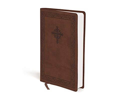 NIV, Teen Study Bible, Compact, Leathersoft, Brown