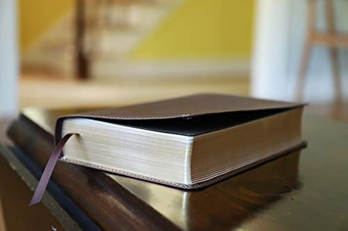 NIV, Foundation Study Bible, Leathersoft, Brown, Red Letter