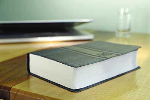 NIV, Bible for Teen Guys, Leathersoft, Blue: Building Faith, Wisdom and Strength