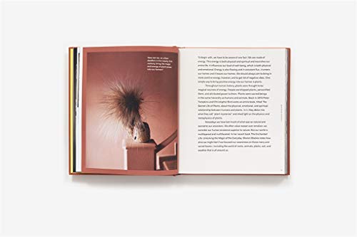 Plant Tribe: Living Happily Ever After with Plants