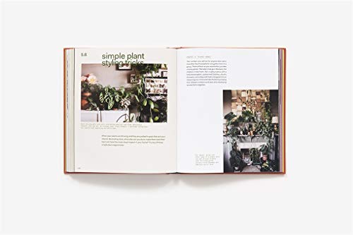 Plant Tribe: Living Happily Ever After with Plants