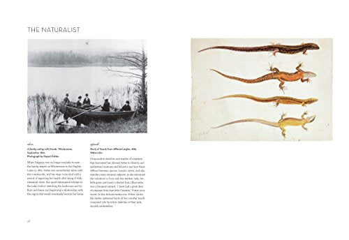 The Art of Beatrix Potter: Sketches, Paintings, and Illustrations