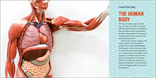 Human Anatomy for Kids: A Junior Scientist's Guide to How We Move, Breathe, and Grow