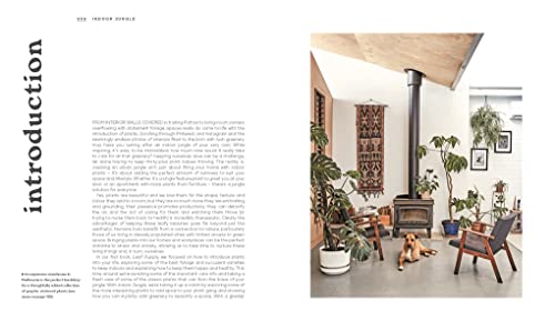 The Leaf Supply Guide to Creating Your Indoor Jungle