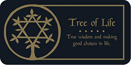 Making Magick: Manifesting Your Dreams (40 Affirmation Cards) (Mini Inspiration Cards)