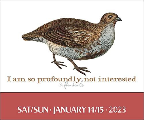 Effin' Birds 2023 Day-to-Day Calendar