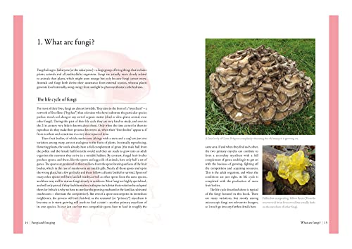 Edible Mushrooms: A forager's guide to the wild fungi of Britain, Ireland and Europe