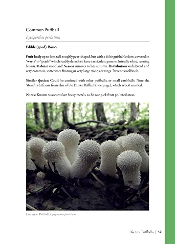 Edible Mushrooms: A forager's guide to the wild fungi of Britain, Ireland and Europe