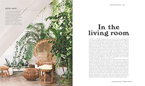 The Leaf Supply Guide to Creating Your Indoor Jungle