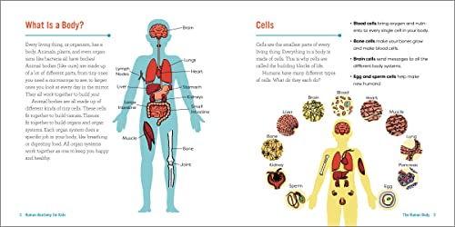 Human Anatomy for Kids: A Junior Scientist's Guide to How We Move, Breathe, and Grow