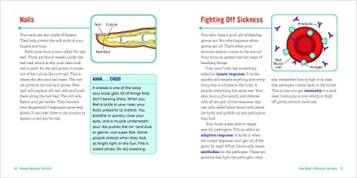 Human Anatomy for Kids: A Junior Scientist's Guide to How We Move, Breathe, and Grow