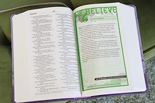 NIV, Teen Study Bible, Leathersoft, Purple