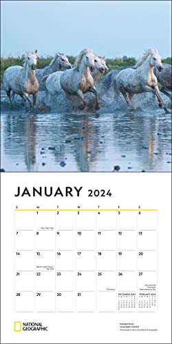 National Geographic: Horses 2024 Wall Calendar
