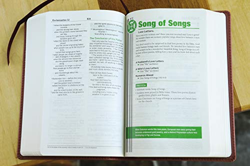 NIV, Teen Study Bible, Compact, Leathersoft, Brown