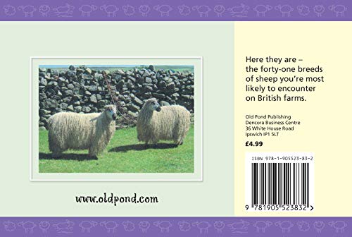 Know Your Sheep (Old Pond Books)