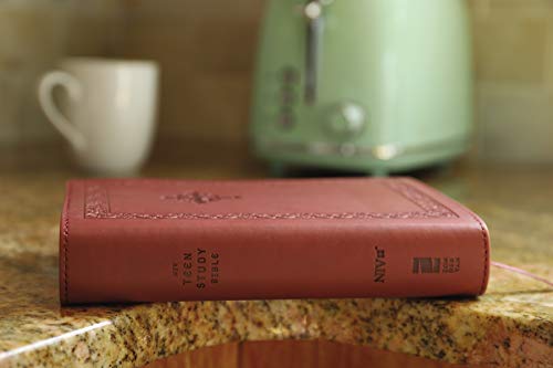 NIV, Teen Study Bible, Compact, Leathersoft, Brown