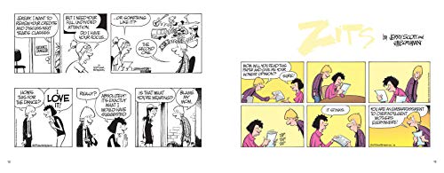 Not Sparking Joy: A Zits Treasury