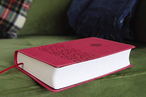 NIV, Teen Study Bible, Compact, Leathersoft, Pink