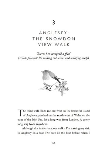 Unforgettable Walks: Best Walks With A View