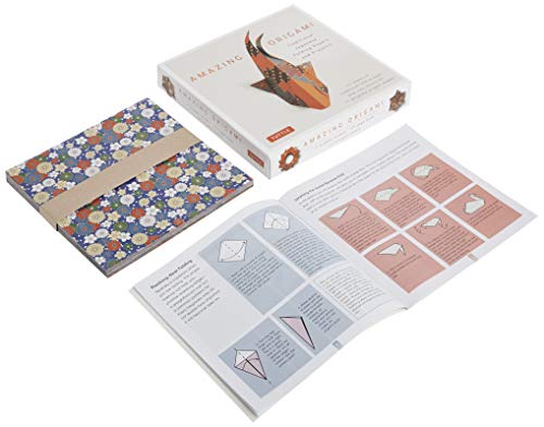 Amazing Origami Kit: Traditional Japanese Folding Papers and Projects [144 Origami Papers with Book, 17 Projects]