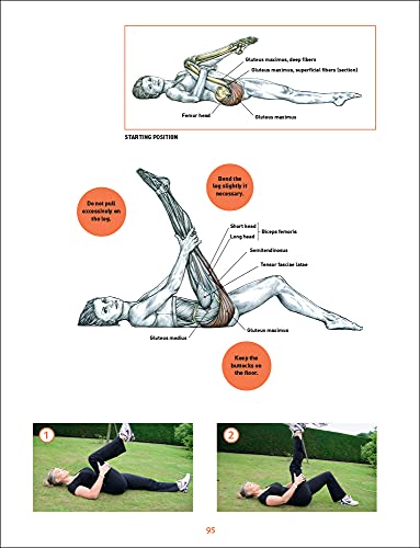 Delavier's Sculpting Anatomy for Women: Shaping your core, butt, and legs