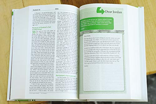 NIV, Teen Study Bible, Hardcover