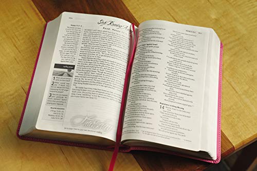NIV, Women's Devotional Bible, Leathersoft, Pink