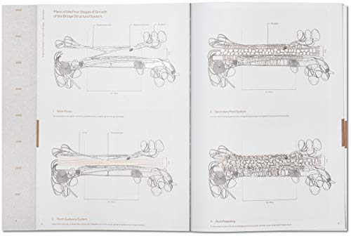 Julia Watson: Lo-Tek; Design by Radical Indigenism