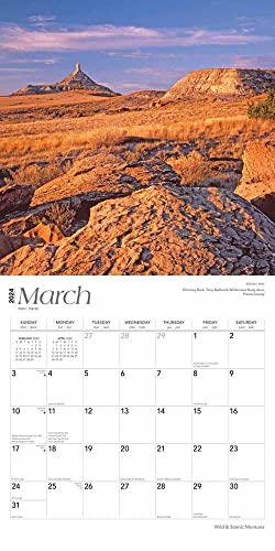 Montana Wild & Scenic | 2024 12 x 24 Inch Monthly Square Wall Calendar | BrownTrout | USA United States of America Rocky Mountains State Nature