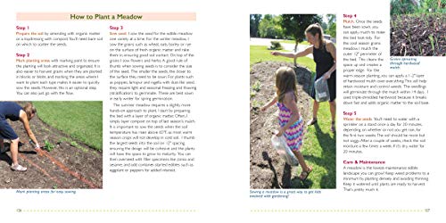 The Foodscape Revolution: Finding a Better Way to Make Space for Food and Beauty in Your Garden