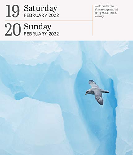 Audubon Nature Page-A-Day Gallery Calendar 2022: A wilderness escape every single day