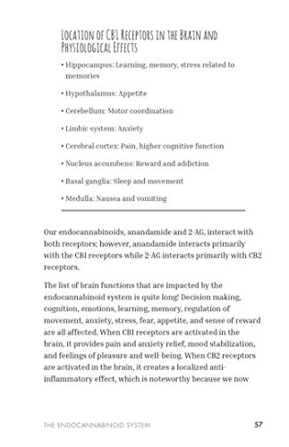 Healing with CBD: How Cannabidiol Can Transform Your Health without the High