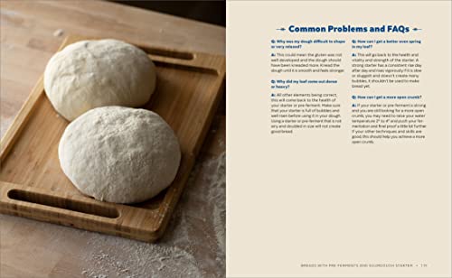 Bread Baking for Beginners: The Essential Guide to Baking Kneaded Breads, No-Knead Breads, and Enriched Breads