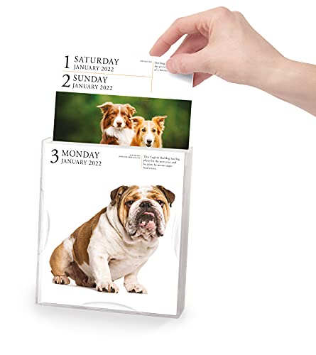 Dog Page-A-Day Gallery Calendar 2022: Stunning portraits that speak to the dog lovers soul.