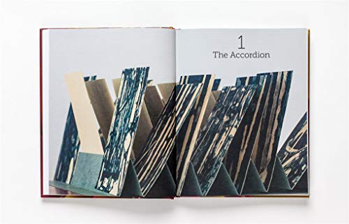 The Art of the Fold: How to Make Innovative Books and Paper Structures (Learn paper craft & bookbinding from influential bookmaker & artist Hedi Kyle)