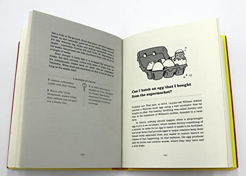 Funny You Should Ask...Again