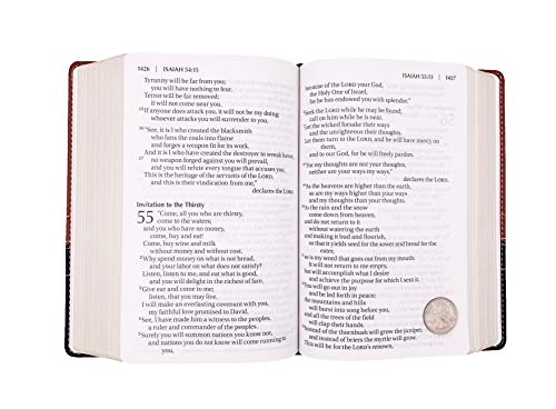 NIV, Giant Print Compact Bible, Large Print, Imitation Leather, Brown & Black