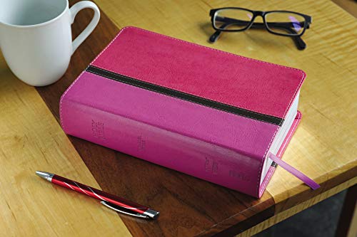 NIV, The Message, Parallel Study Bible, Leathersoft, Pink: Two Bible Versions Together with NIV Study Bible Notes
