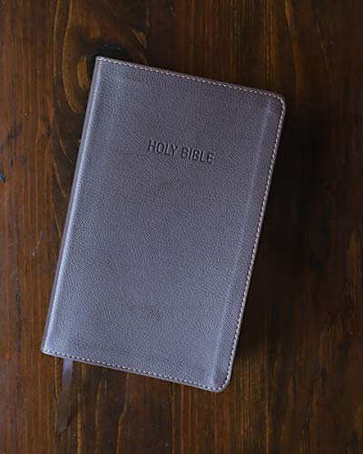 NIV, Foundation Study Bible, Leathersoft, Brown, Red Letter