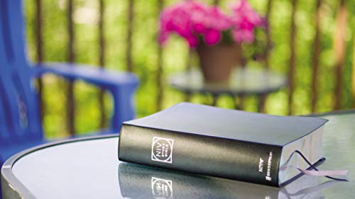 NIV Study Bible, Fully Revised Edition, Bonded Leather, Black, Red Letter, Comfort Print