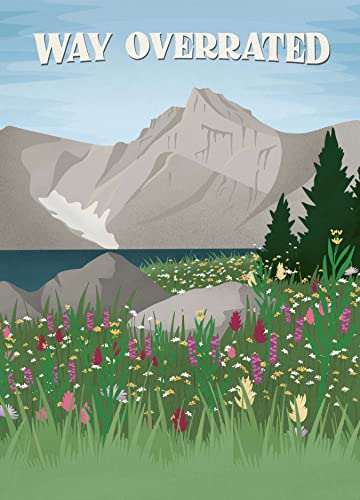 Subpar Parks Postcards: Celebrating America's Most Extraordinary National Parks and Their Least Impressed Visitors