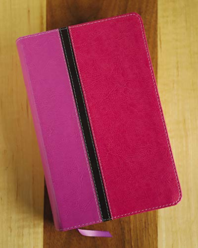 NIV, The Message, Parallel Study Bible, Leathersoft, Pink: Two Bible Versions Together with NIV Study Bible Notes