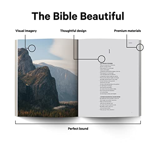 Book of Proverbs - Alabaster Bible