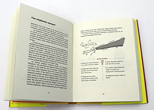 Funny You Should Ask...Again