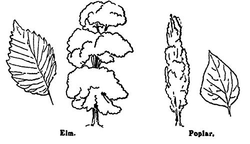 Scouting for Boys: The Original 1908 Edition (Dover Books on Sports and Popular Recreations)