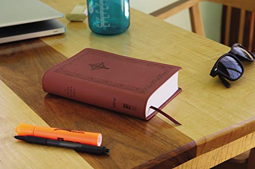 NIV, Teen Study Bible, Compact, Leathersoft, Brown